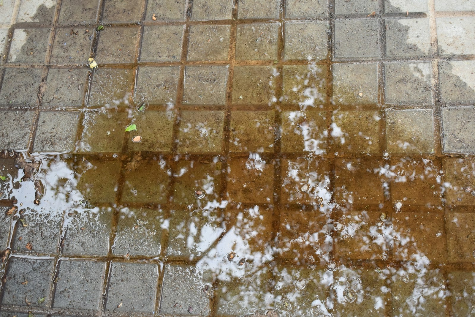 Puddle of water on a tiled floor