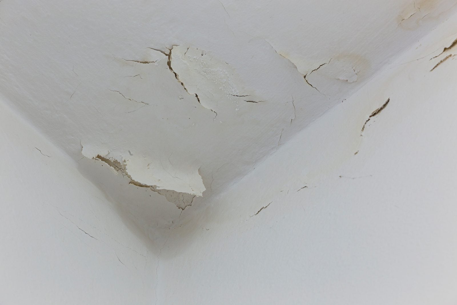 Peeling paint on a ceiling corner from water infiltration